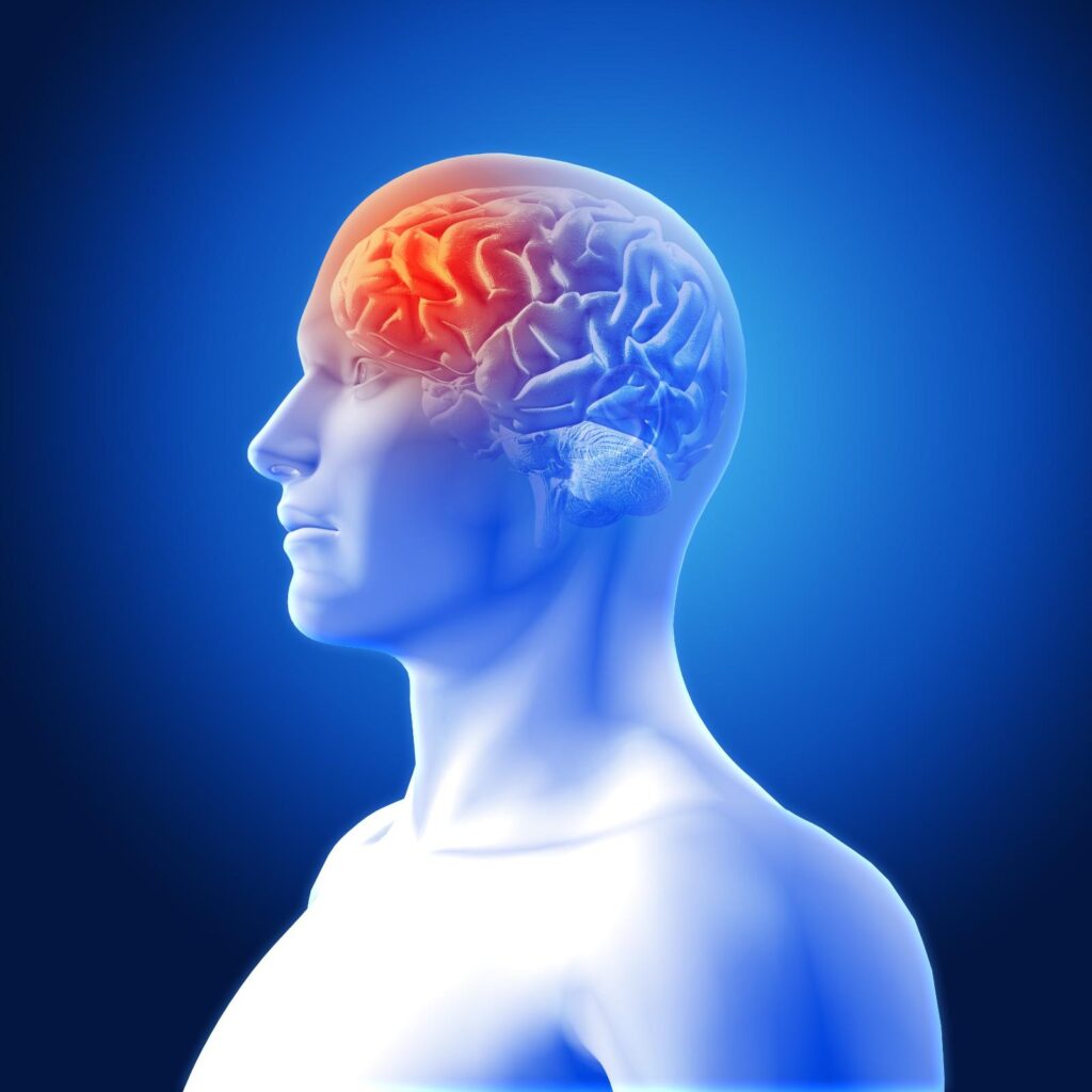 Best Neurologist in Noida