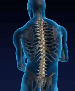Best spine specialist in greater Noida