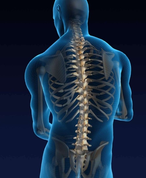 Best spine specialist in greater Noida