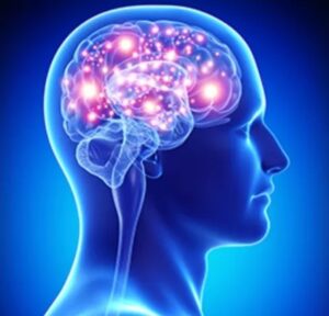 best neuro specialist in noida