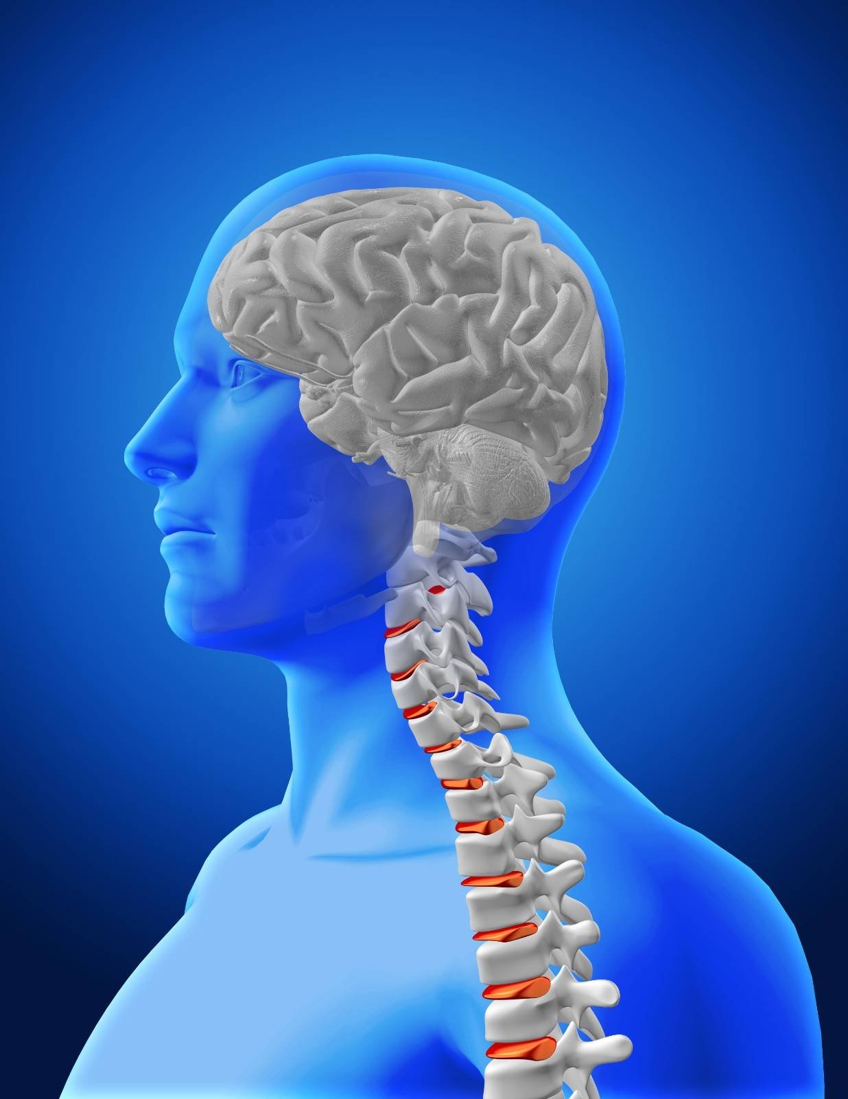 Best Brain and Spine Specialist in Greater Noida